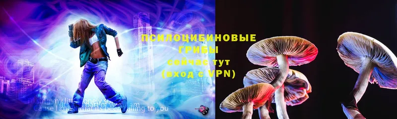 OMG ССЫЛКА  купить  сайты  Белозерск  Псилоцибиновые грибы Magic Shrooms 